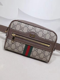 Gucci GG original canvas ophidia supreme small Pocket 517075 brown