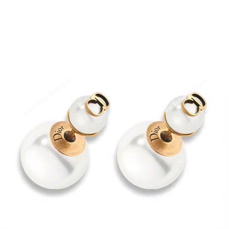 Dior earrings 3755