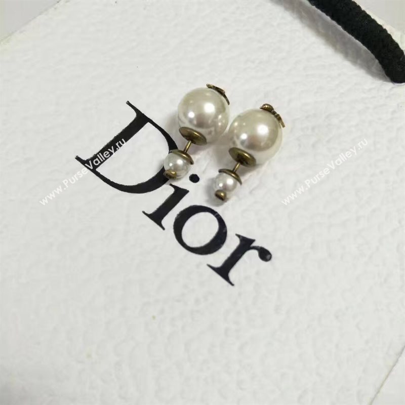 Dior earrings 3755