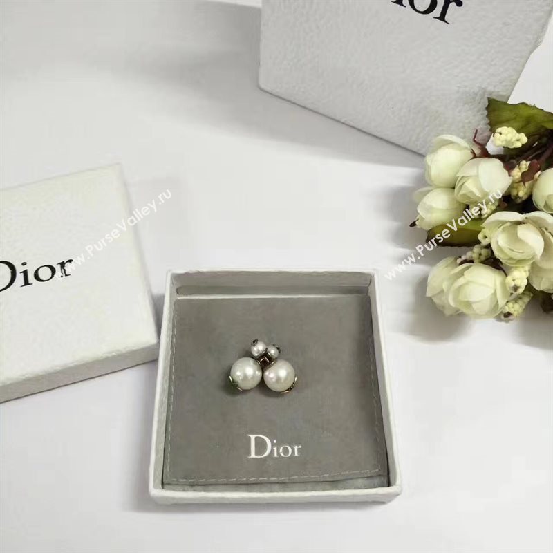 Dior earrings 3755