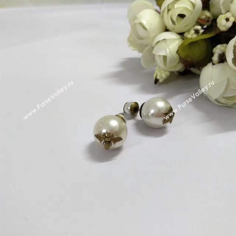 Dior earrings 3755
