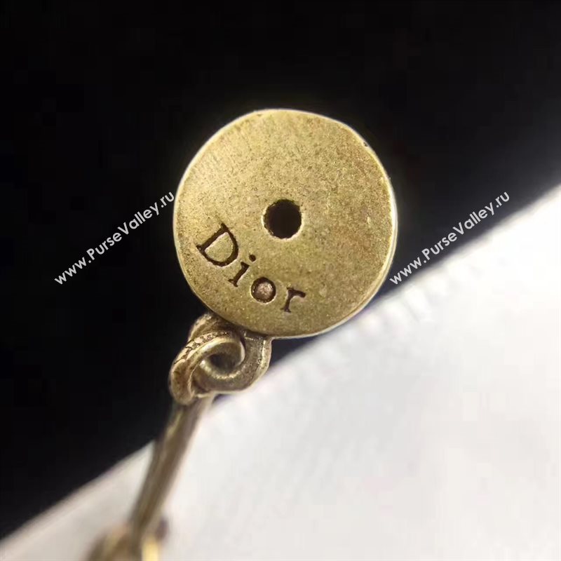 Dior earrings 3761