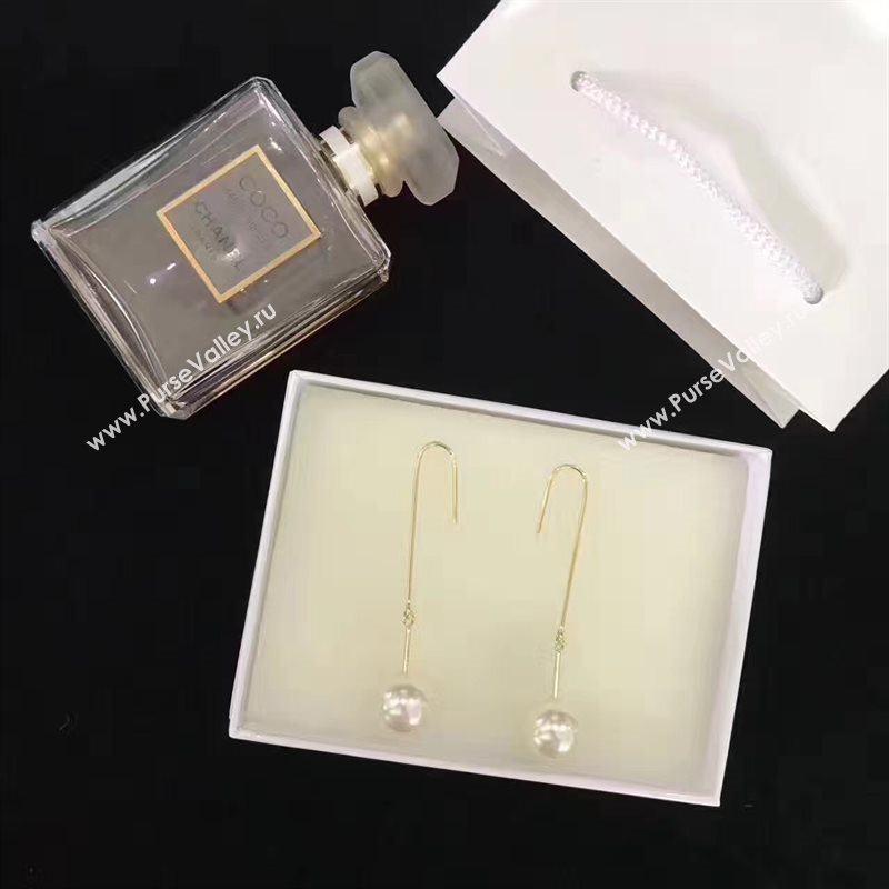 Celine earrings 3771