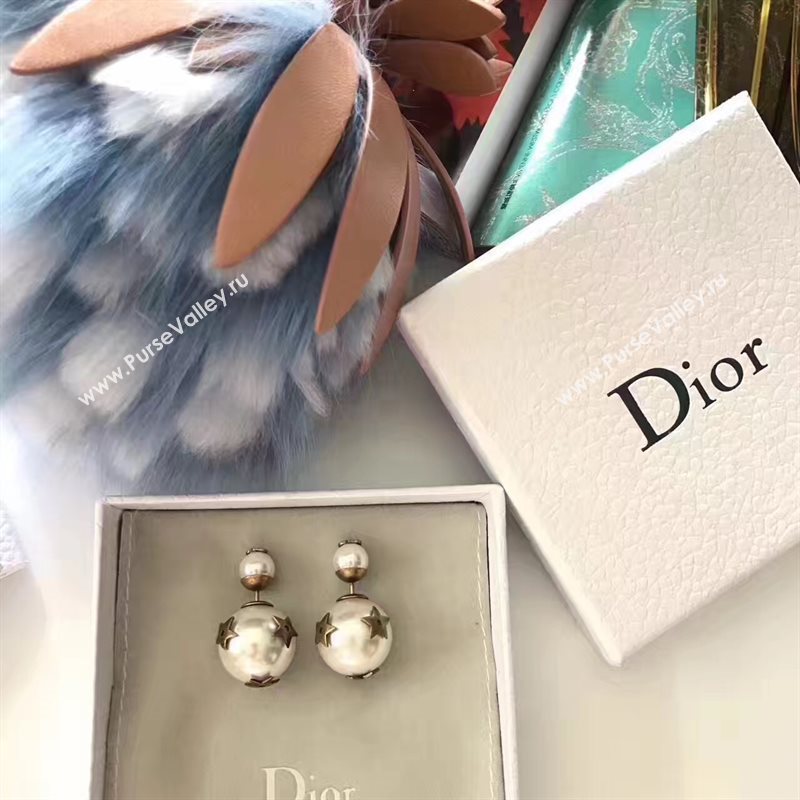 Dior earrings 3788