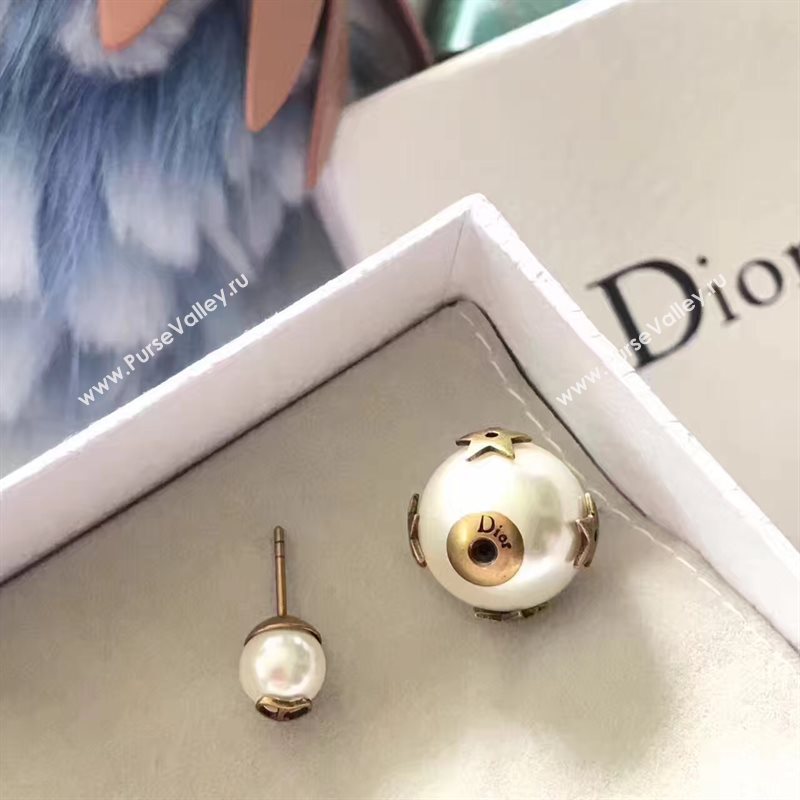 Dior earrings 3788