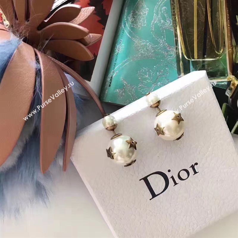 Dior earrings 3788