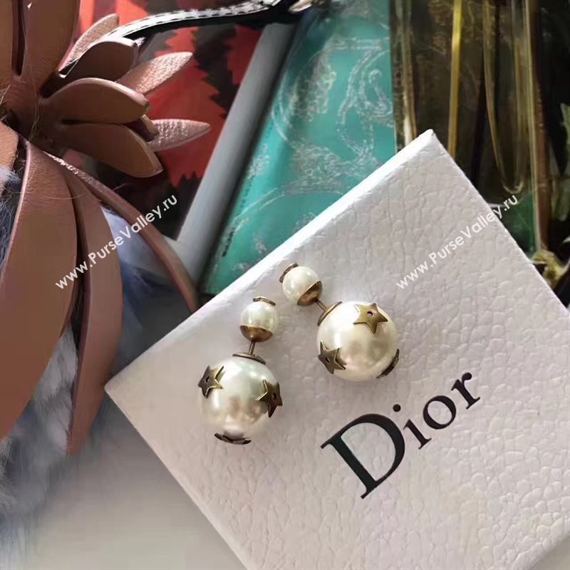 Dior earrings 3788