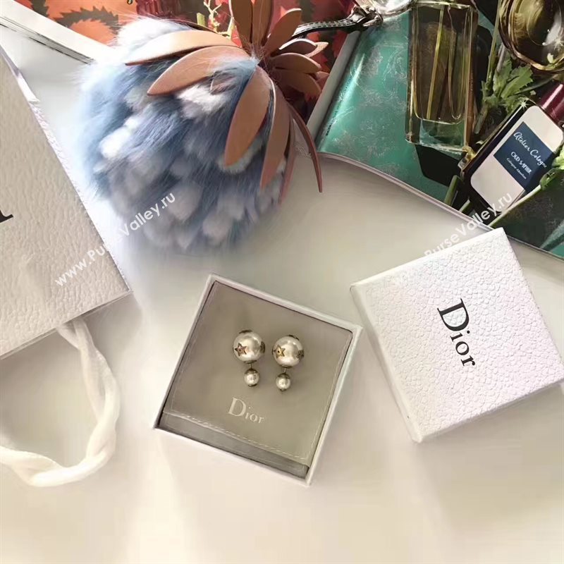 Dior earrings 3788