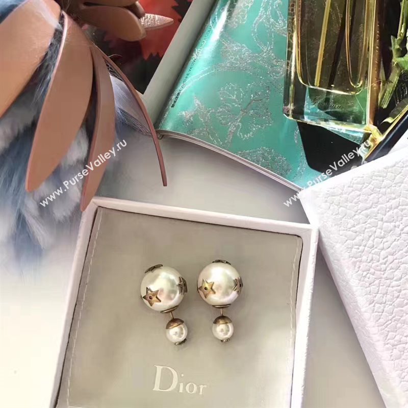 Dior earrings 3788