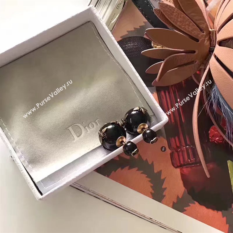 Dior earrings 3789