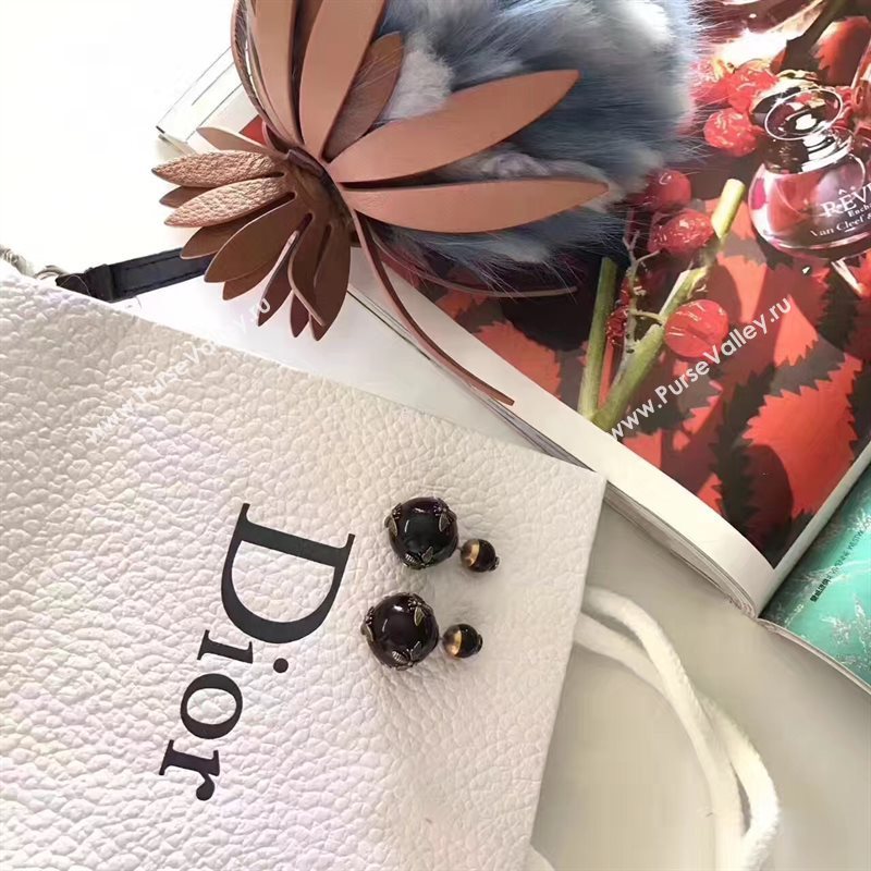 Dior earrings 3789