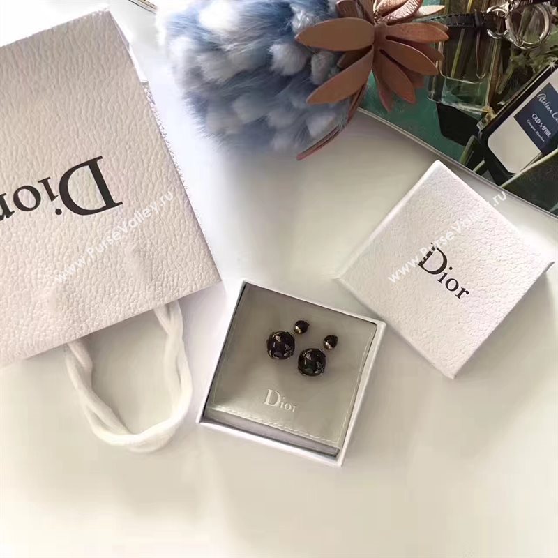 Dior earrings 3789