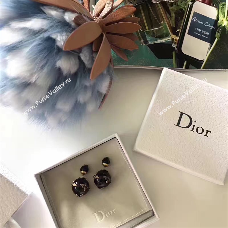 Dior earrings 3789