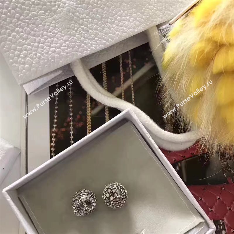 Dior earrings 3790