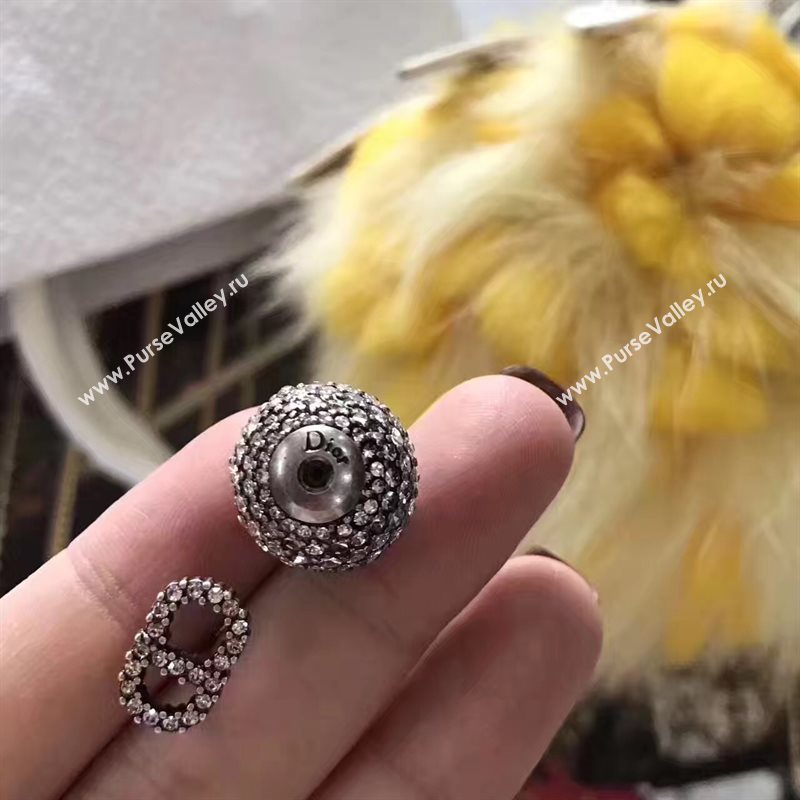Dior earrings 3790
