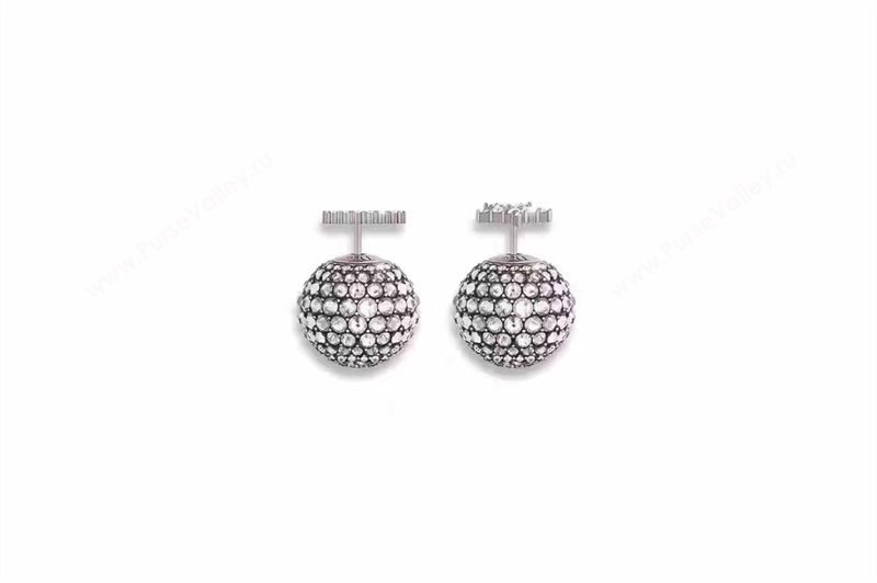 Dior earrings 3790