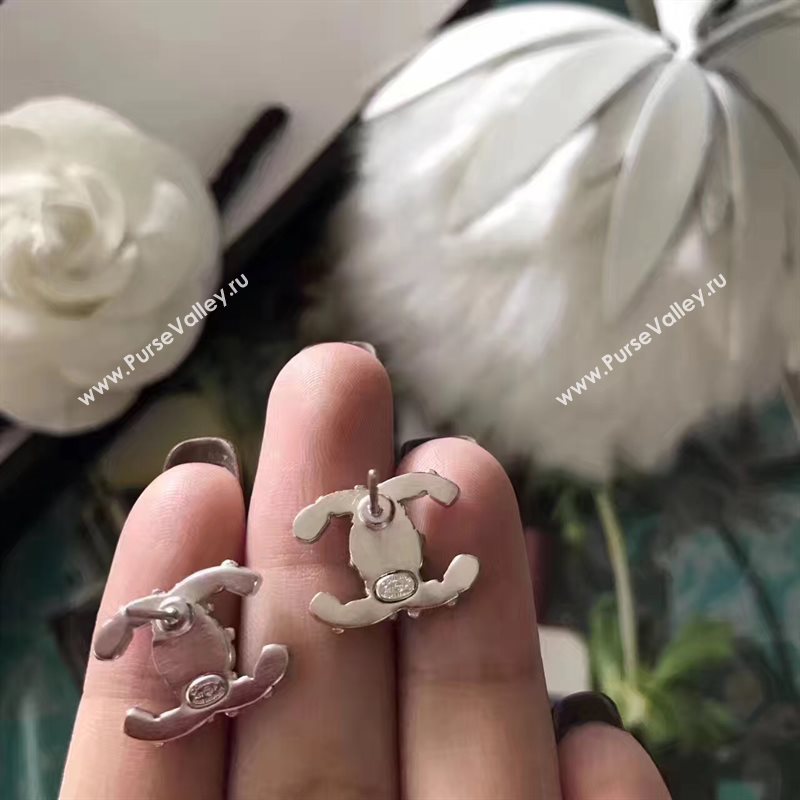 Chanel earrings 3799