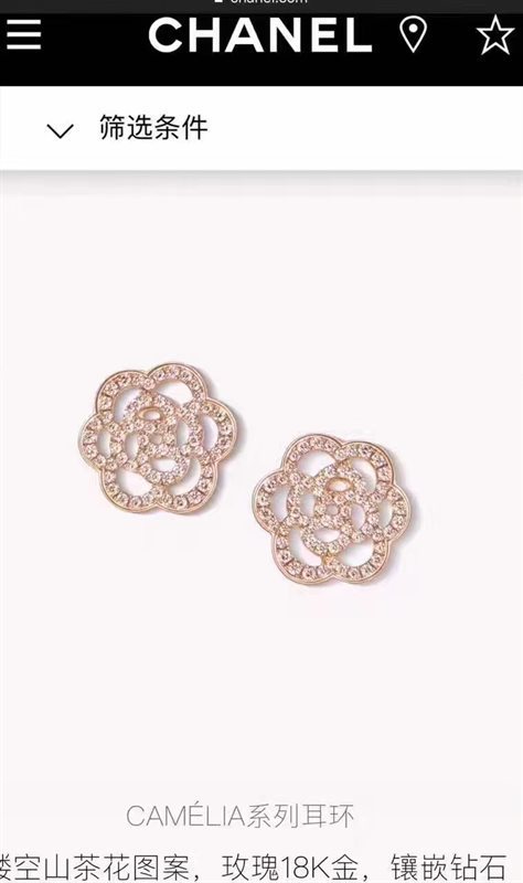 Chanel earrings 3854
