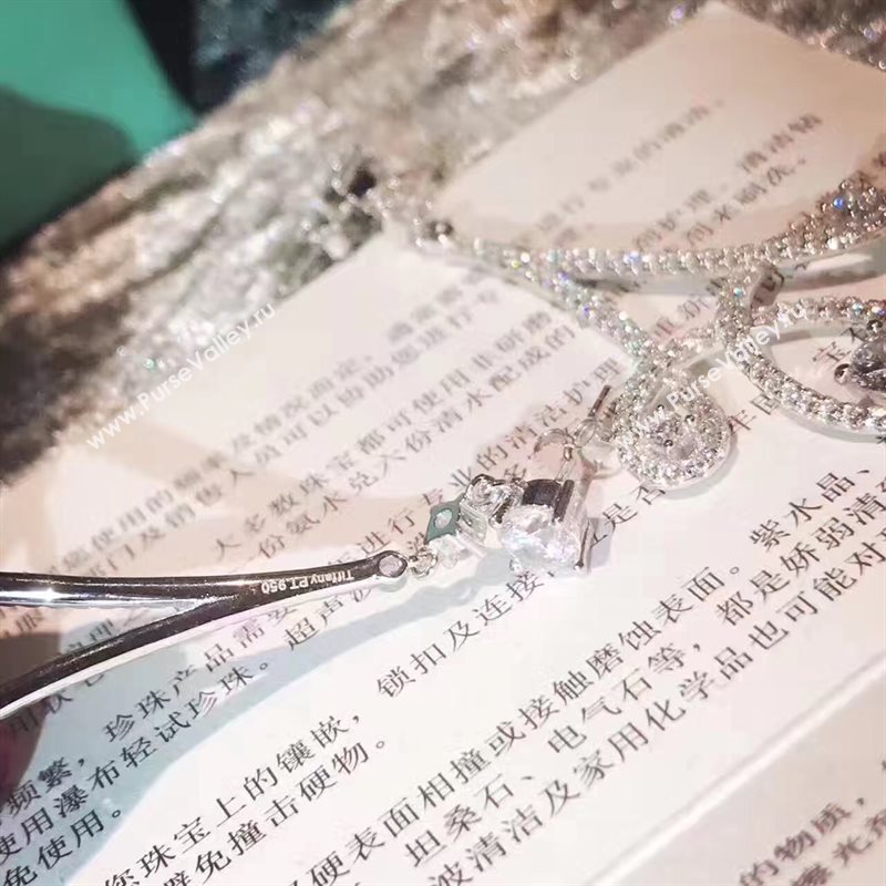 Tiffany earrings 3859