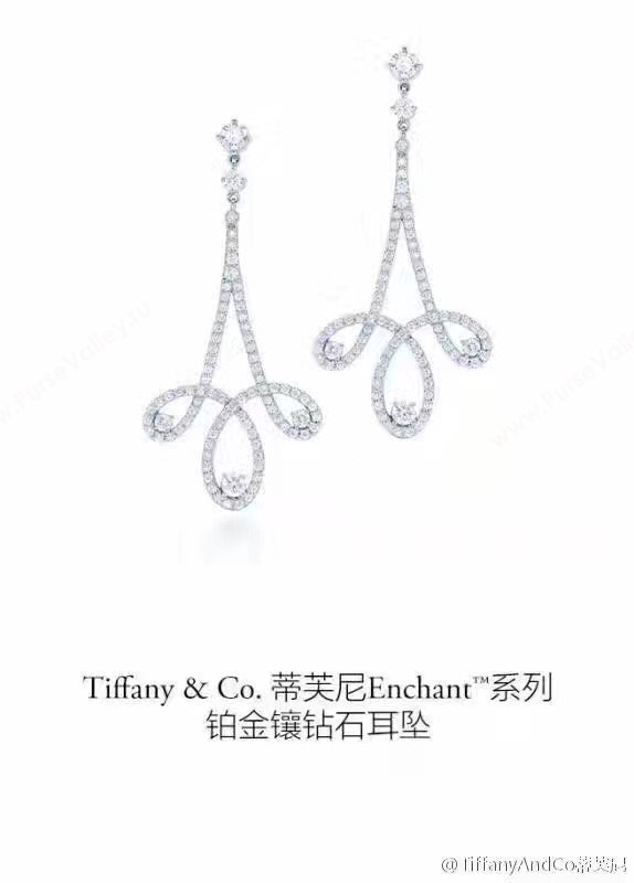 Tiffany earrings 3859