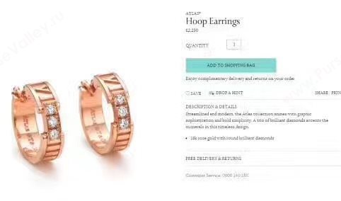 Tiffany earrings 3866