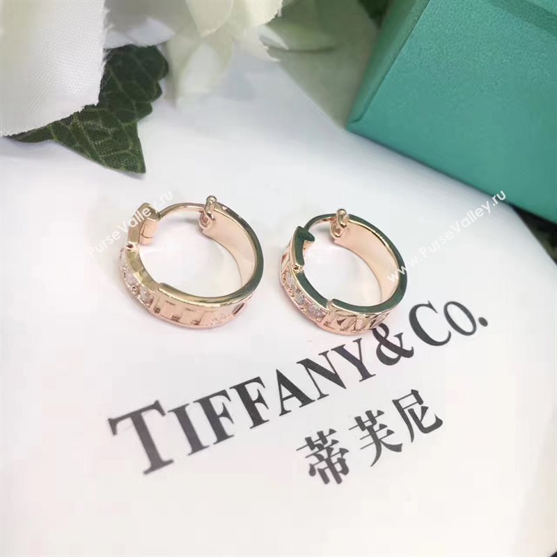 Tiffany earrings 3866