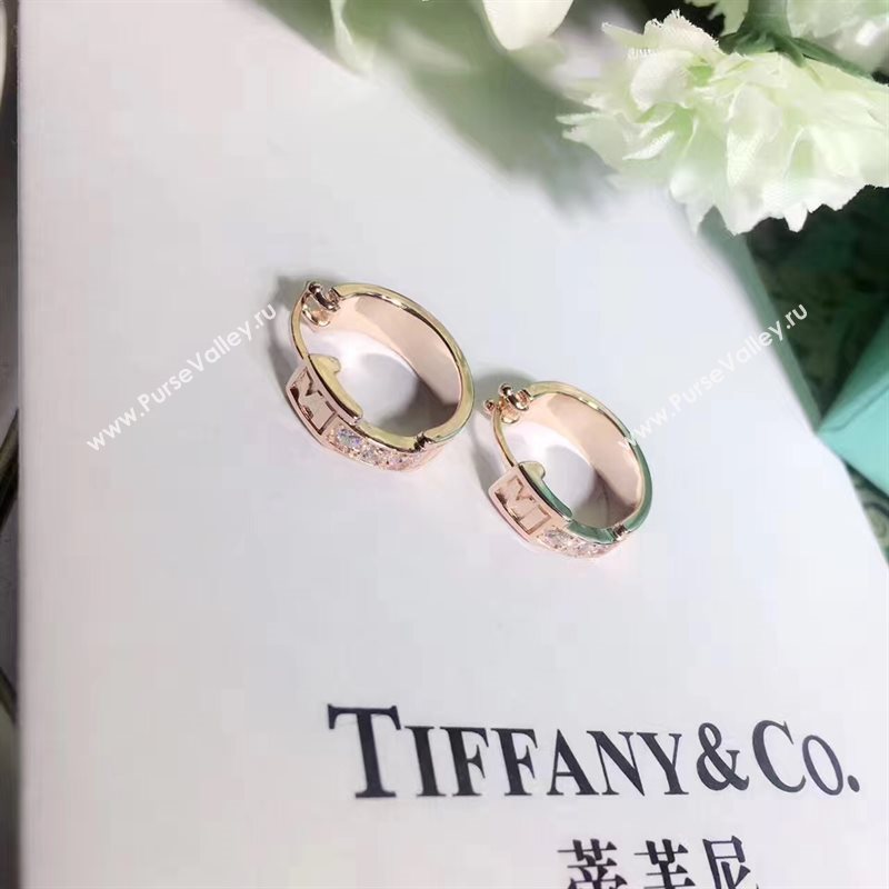 Tiffany earrings 3866