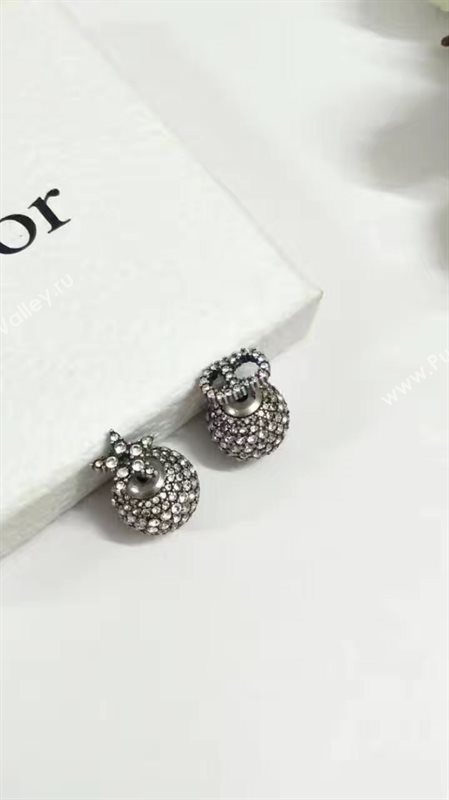 Dior earrings 3871