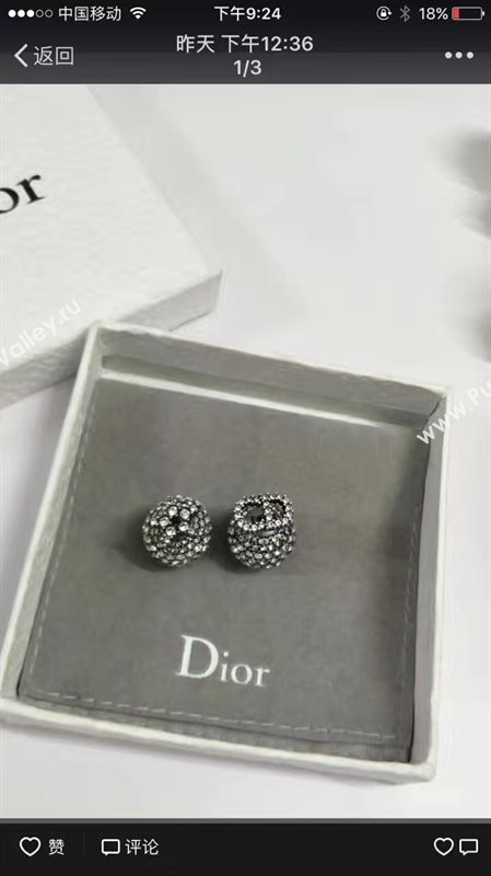 Dior earrings 3871