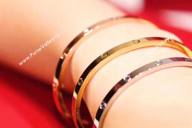 Cartier bracelet 3893