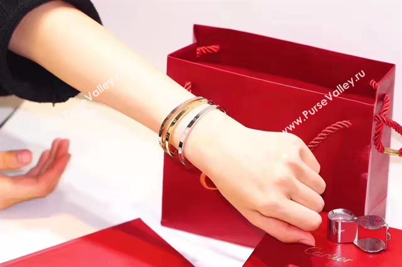 Cartier bracelet 3893