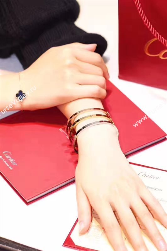 Cartier bracelet 3893