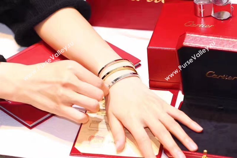 Cartier bracelet 3893