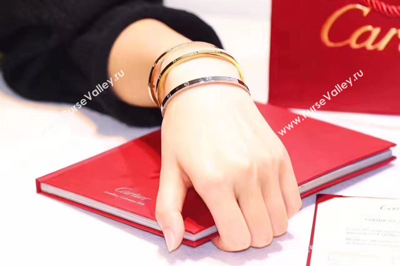 Cartier bracelet 3893