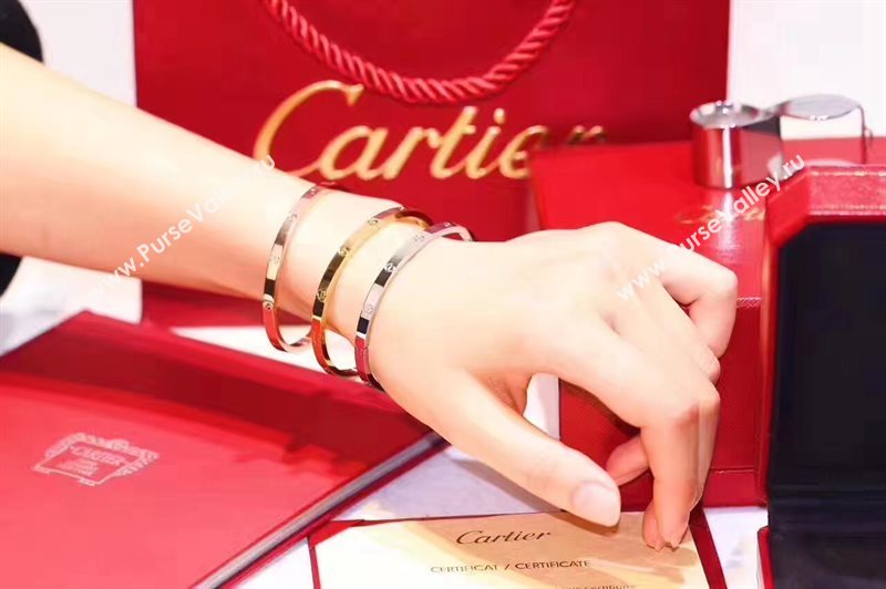 Cartier bracelet 3893