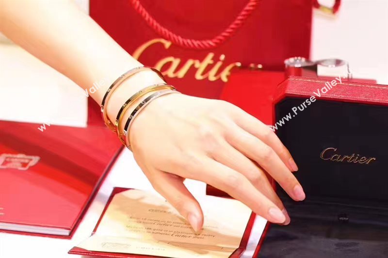 Cartier bracelet 3893