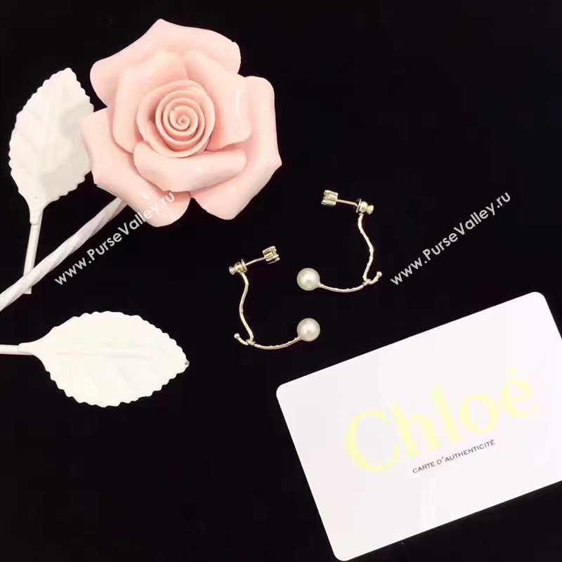 Chloe earrings 3897