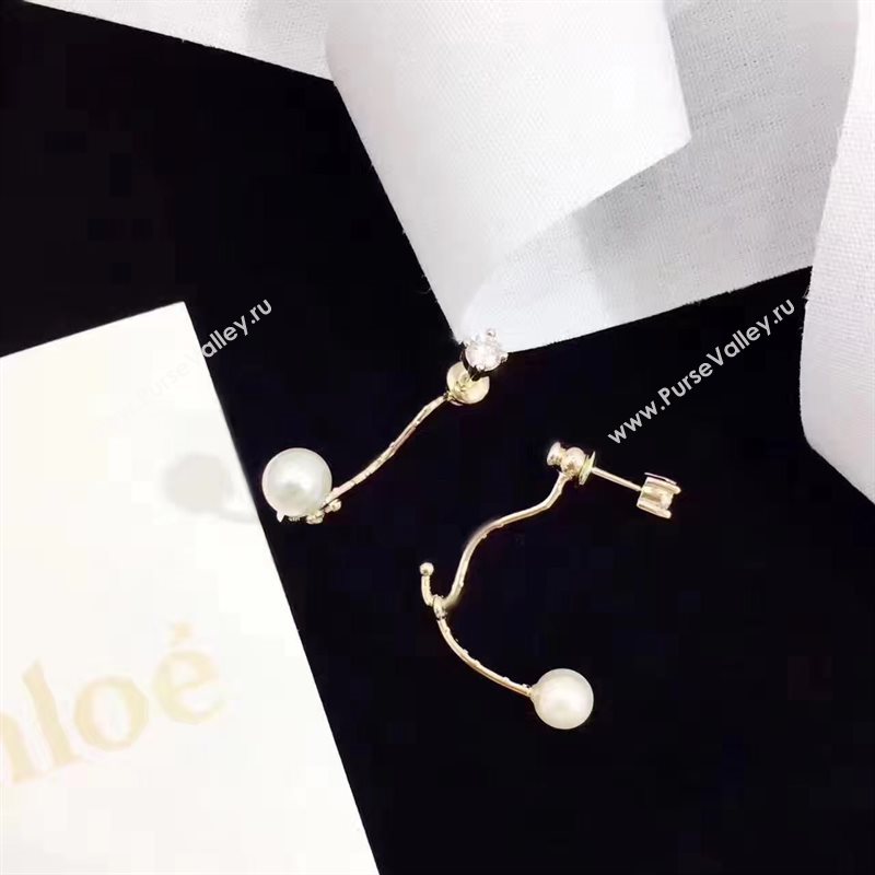 Chloe earrings 3897