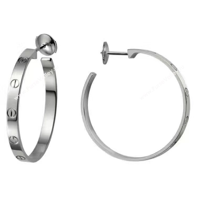 Cartier earrings 3801