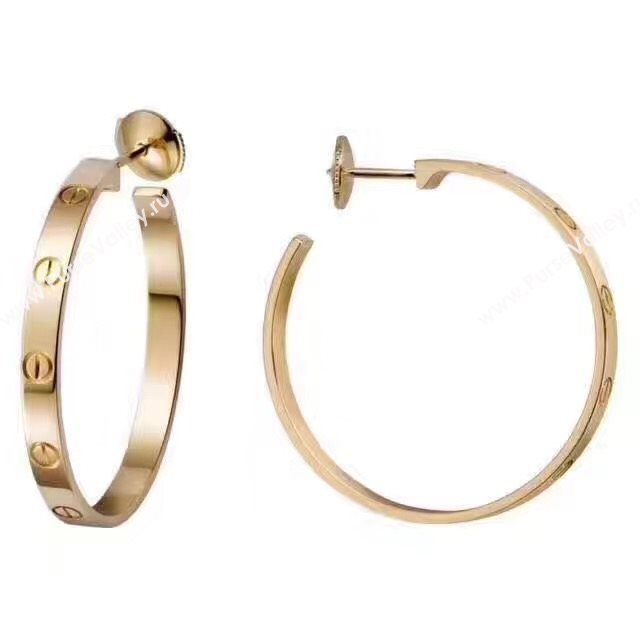 Cartier earrings 3801