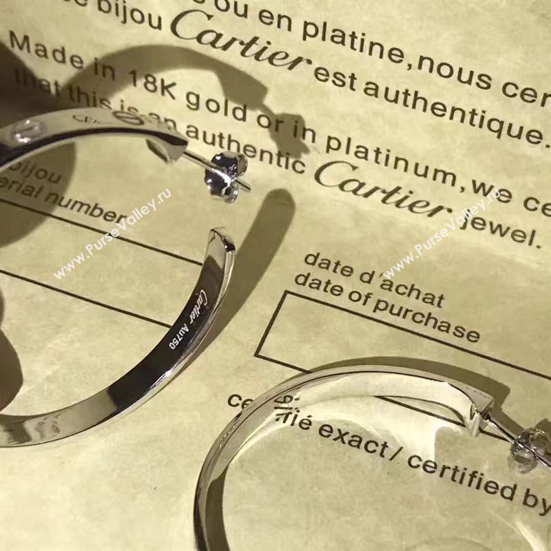 Cartier earrings 3801