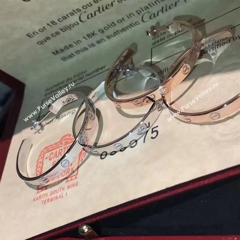 Cartier earrings 3801