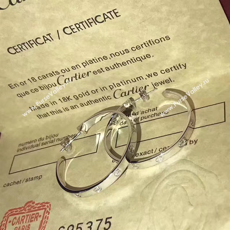 Cartier earrings 3801