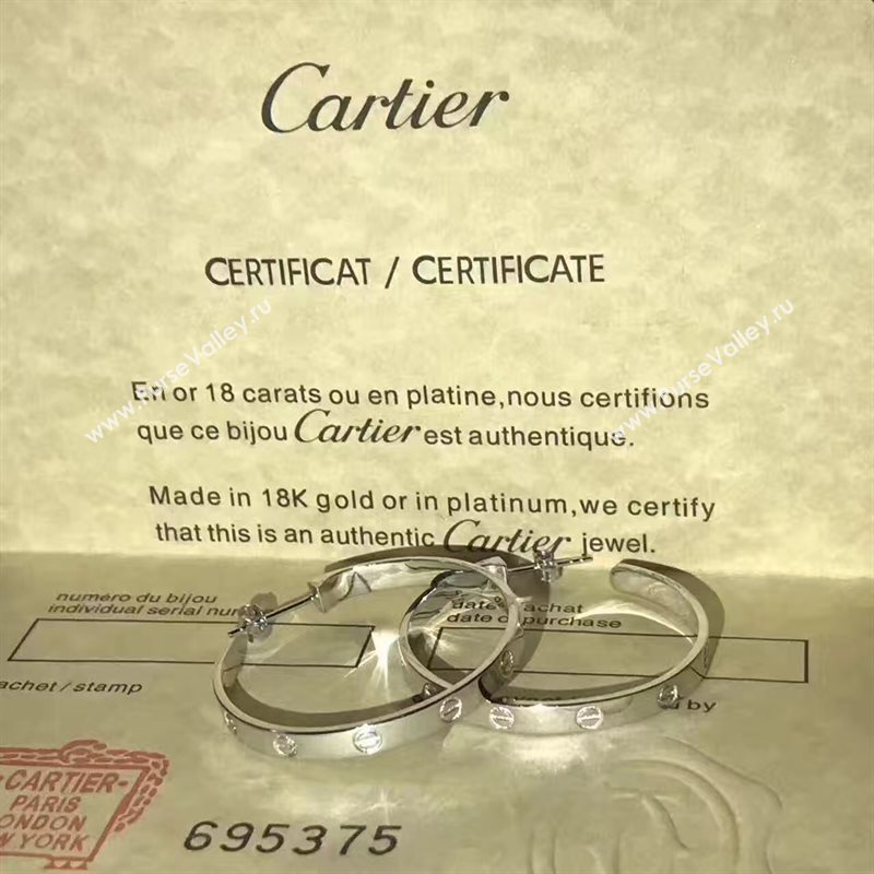 Cartier earrings 3801