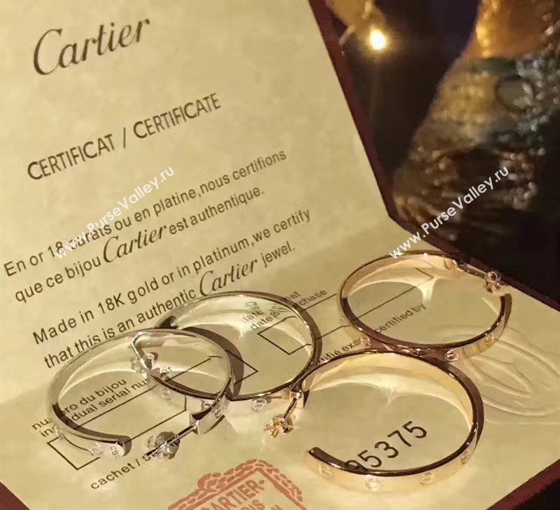 Cartier earrings 3801