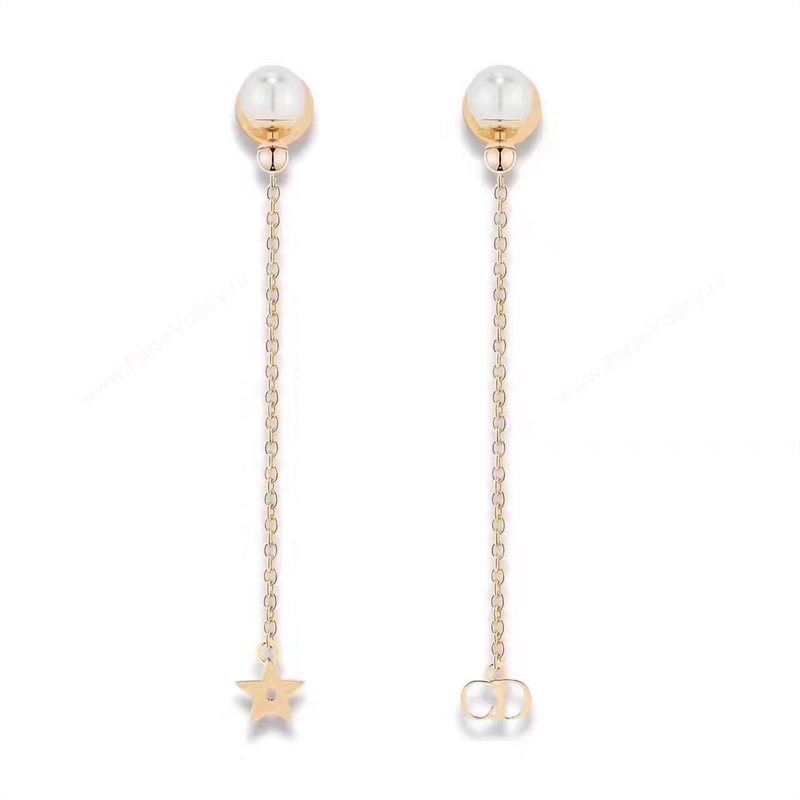 Dior earrings 3822