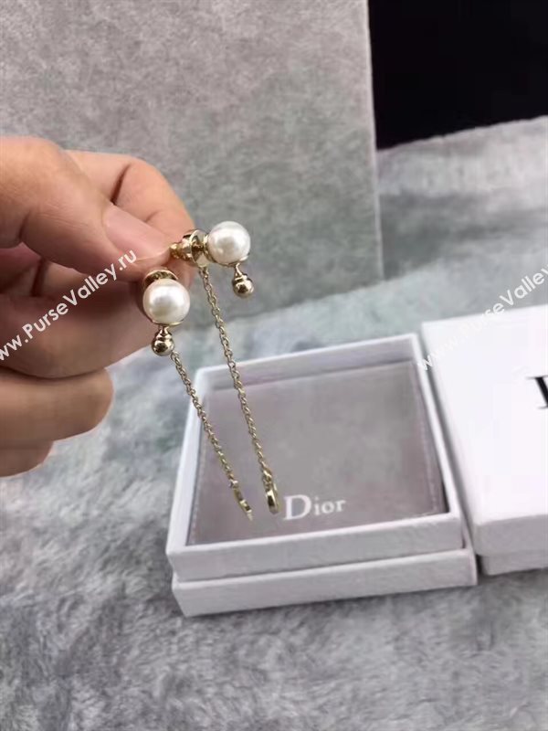 Dior earrings 3822