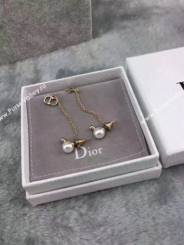 Dior earrings 3822