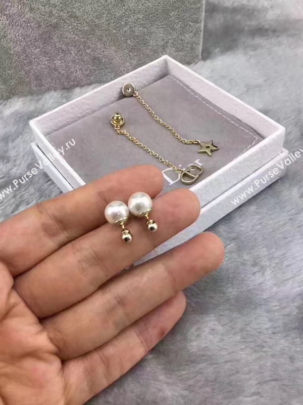 Dior earrings 3822