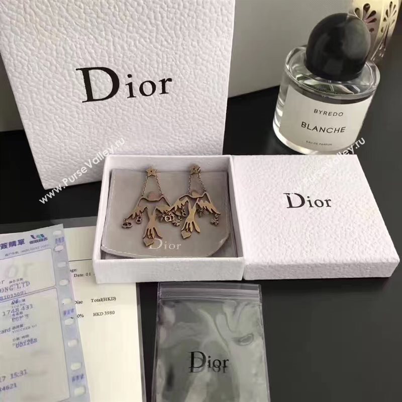 Dior earrings 3824